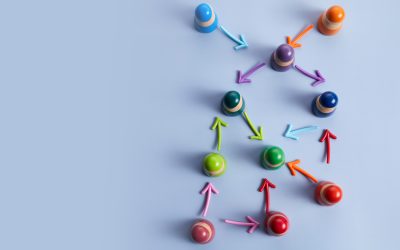 Wat zijn soft skills en waarom zijn ze belangrijk voor een notaris?